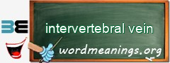 WordMeaning blackboard for intervertebral vein